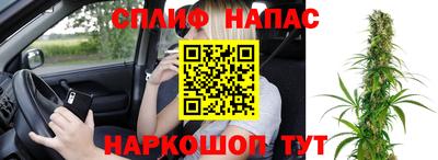сатива Кандалакша