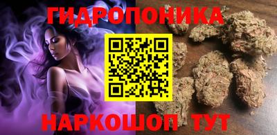 сатива Кандалакша