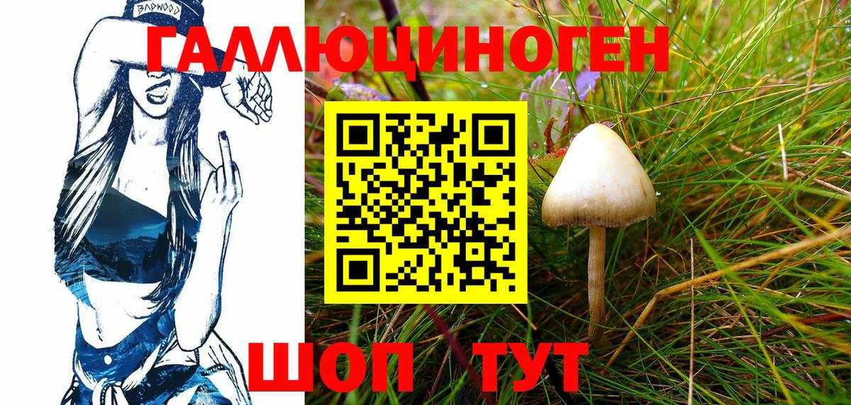 Галлюциногенные грибы Magic Shrooms  Псилоцибиновые грибы мицелий  Красноуфимск  Вход с VPN 