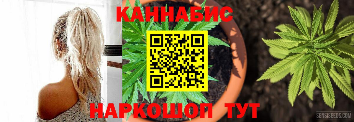 Шишки марихуана план  Бошки марихуана семена  МАРИХУАНА SATIVA & INDICA  Красноуфимск  Вход с VPN 